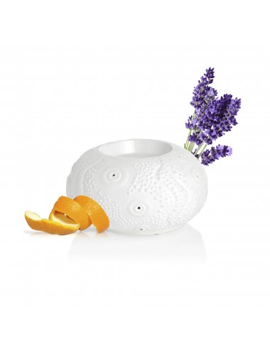 PURESS DIFFUSEUR CALVI 3146 